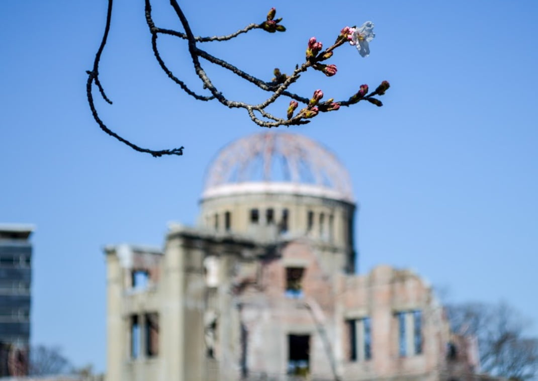 Il primo sakura a Peace Park con la cupola sullo sfondo