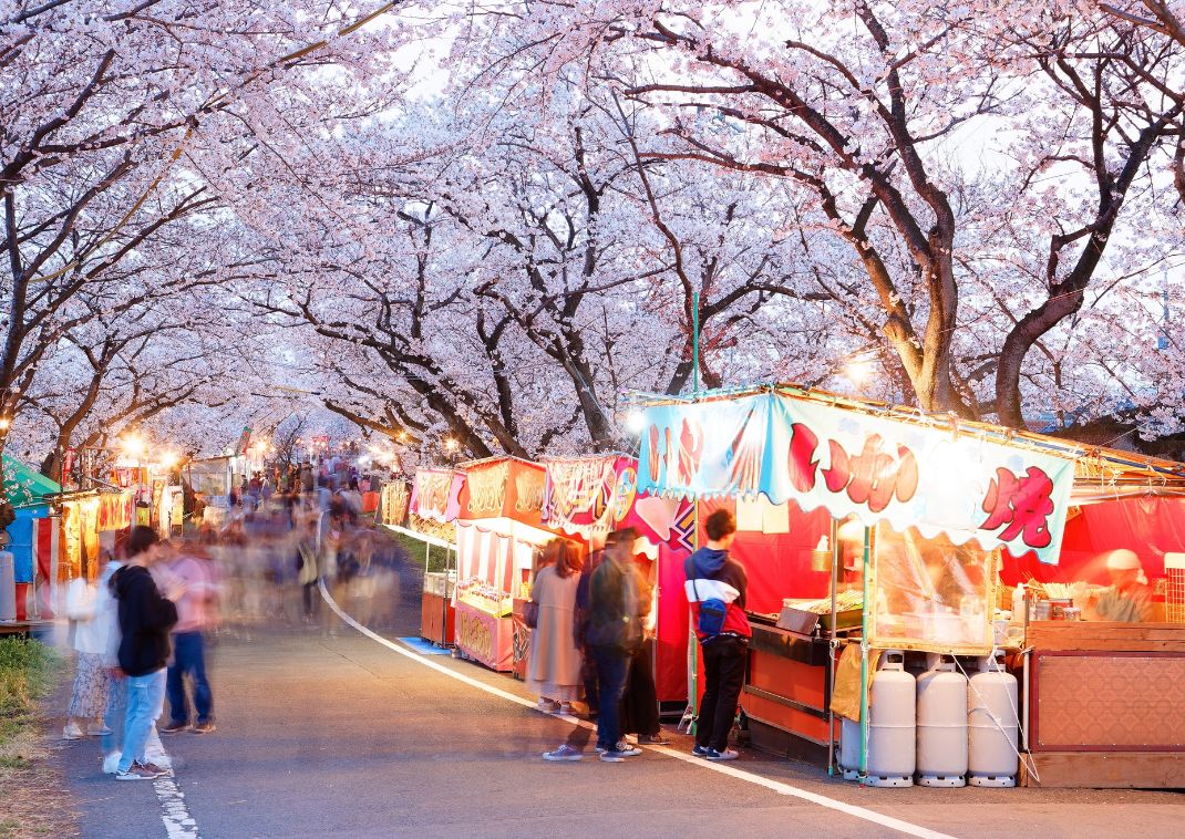 Festival Sakura Matsuri, Gifu, Giappone