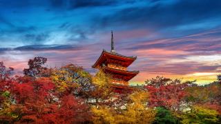 Colori autunnali in Kyoto