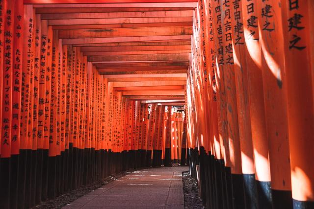 Oltre 10 000 porte torii rossi nl Santuario di Fushimi Inari 
