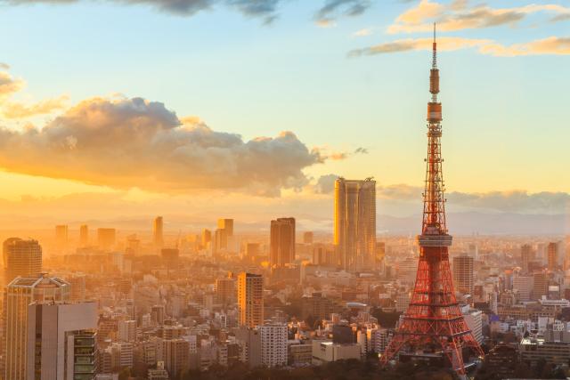 Panorama dall’Osservatorio principale della Torre di Tokyo