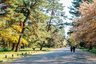 Giardino Nazionale Kyoto Gyoen