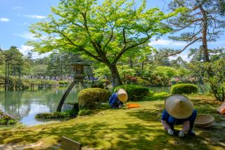 Giardino Kenrokuen, Kanazawa 