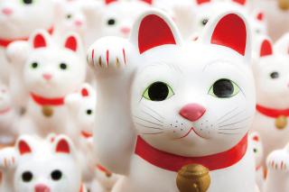 Workshop Maneki neko