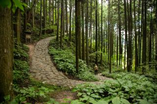 Il sentiero di Nakasendo