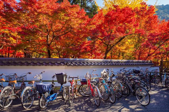 Biciclette a Kyoto