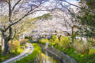 Sentiero del filosofo, Kyoto 