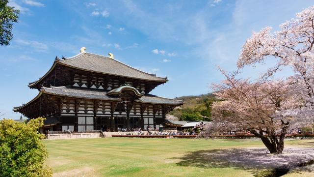 Tempio Todaiji, Nara