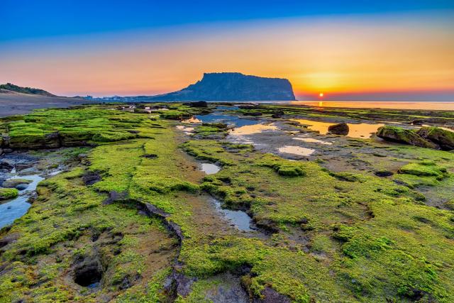 Isola di Jeju