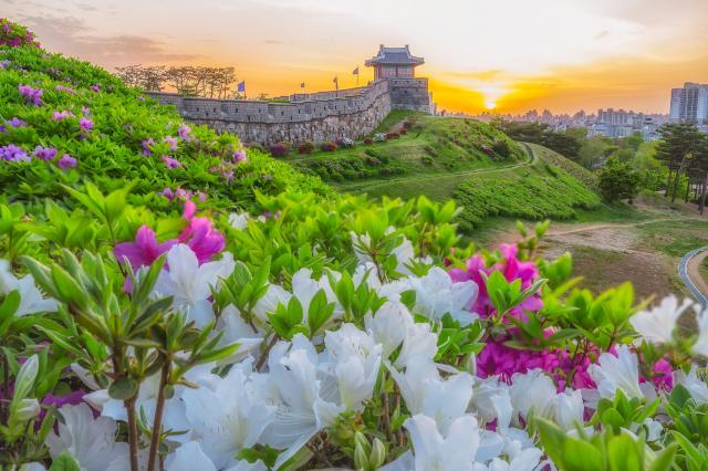 Fortezza di Hwaseong
