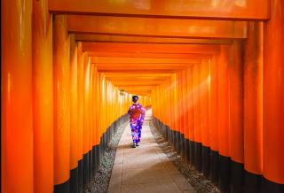 Fushimi Inari, Kyoto 