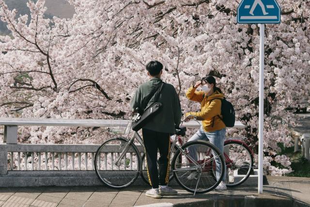 Coppia in bicicletta a Kyoto