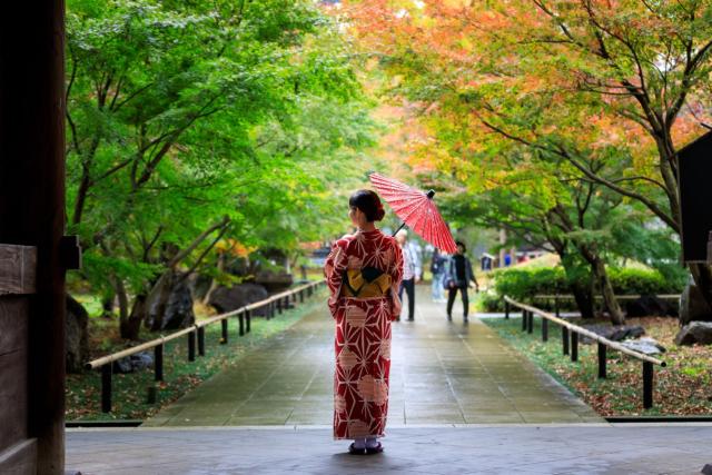 Donna giapponese in kimono rosso che tiene un ombrello e cammina tranquillamente in un parco pubblico con foglie autunnali in Giappone