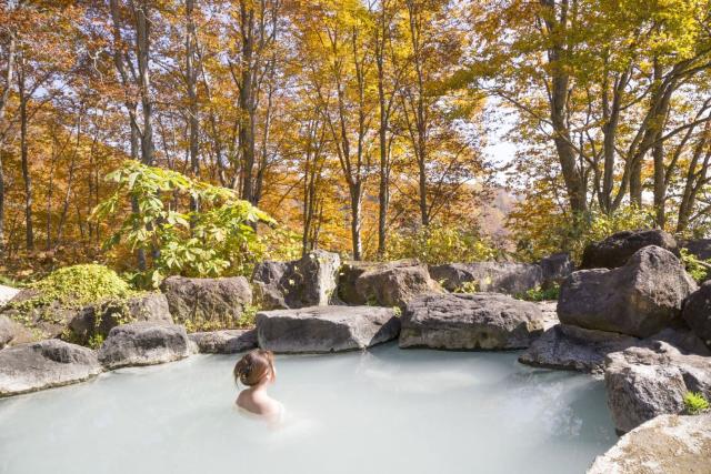 Godersi un onsen giapponese all'aperto