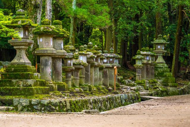 Lanterne giapponesi al Santuario Kasuga-taisha a Nara