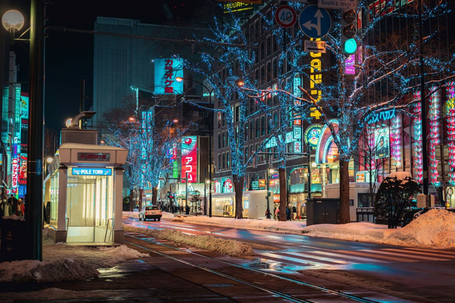 La città di Sapporo di notte