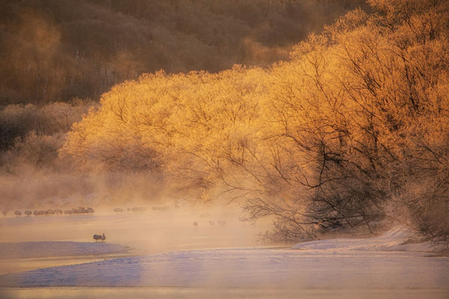 Una mattina d'inverno a Hokkaido