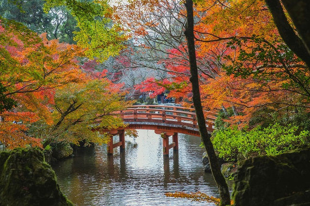 Giardino Autunnale di Kyoto