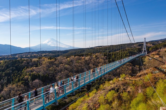 Ponte sospeso Mishima