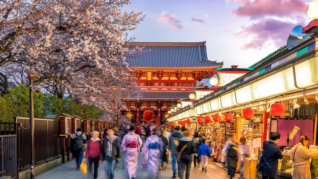 Tempio Sensoji, circondato dai ciliegi in fiore in primavera, Tokyo