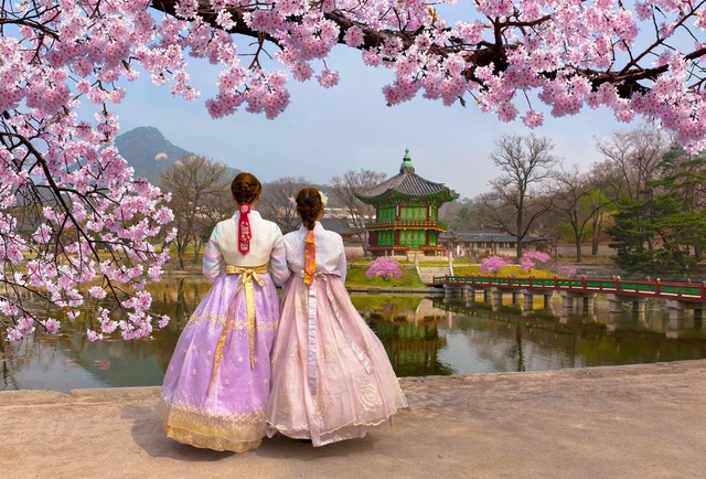 Fiori di ciliegio in primavera con abiti tradizionali coreani al Palazzo Gyeongbokgung, Seul, Corea del Sud
