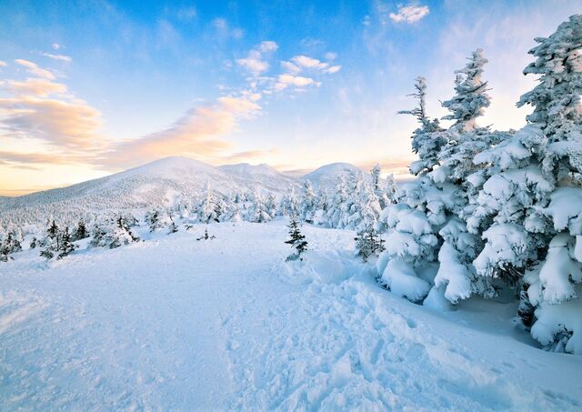 Paesaggio invernale su una montagna ad Aomori, Giappone