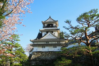 Castello di Kochi