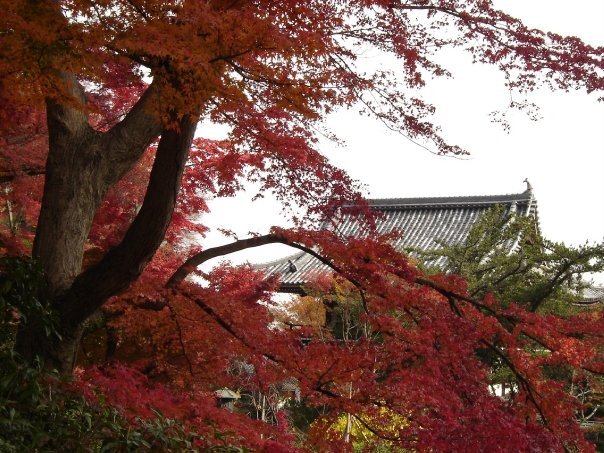 Il tempio Yoshimine a Kyoto
