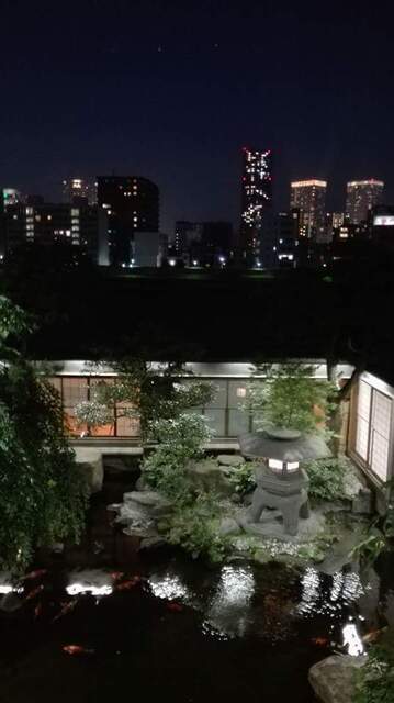 Vista dal ristorante Tsukiji Jisaku Tokyo