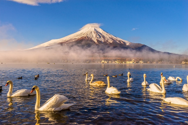 Il Monte Fuji visto dal lago Yamanaka