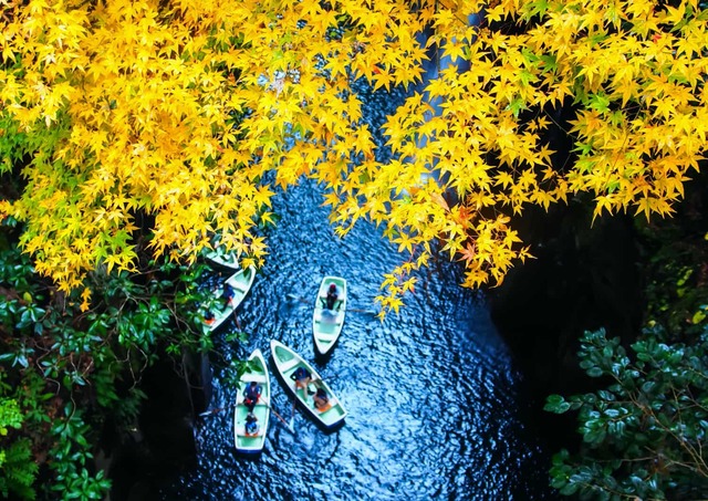 Canottaggio nella gola di Takachiho