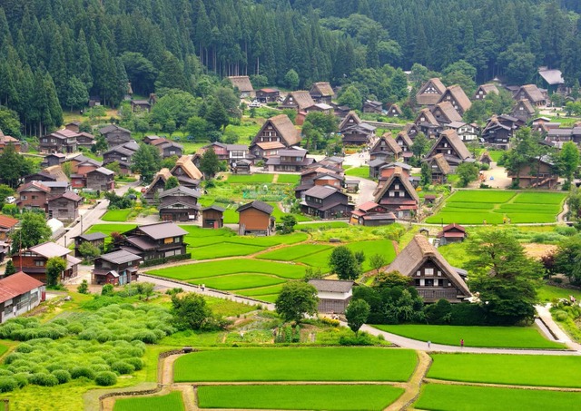 Il villaggio di Ogimachi in estate