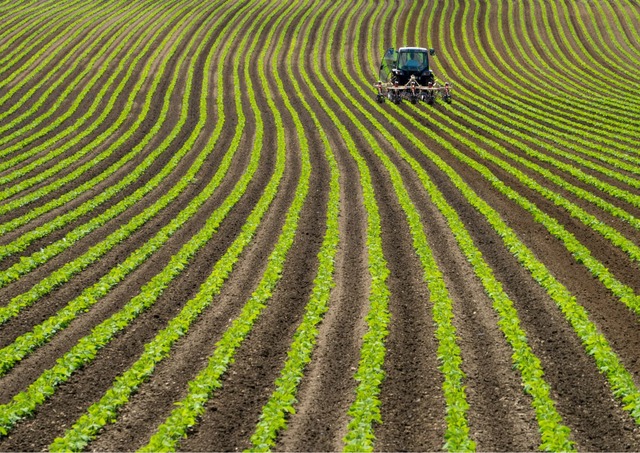 Fattoria di fagioli di soia, Niseko