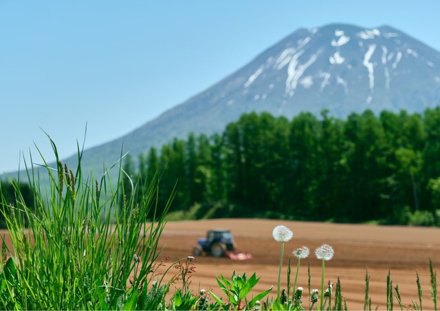 Fattoria sotto il Monte Yotei, Niseko