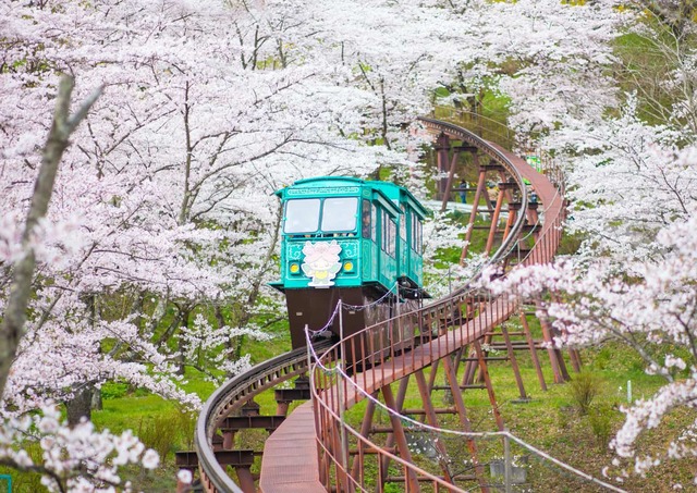 Monorotaia al parco delle rovine del castello Funaoke, Sendai