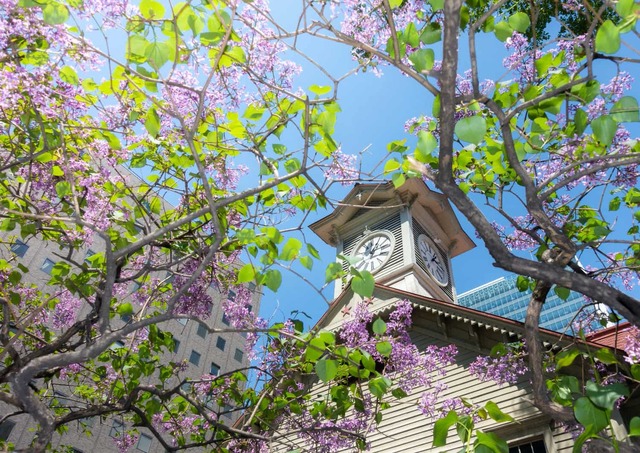 Torre dell'orologio, Sapporo