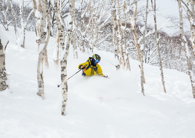 Sci fuori pista a Niseko