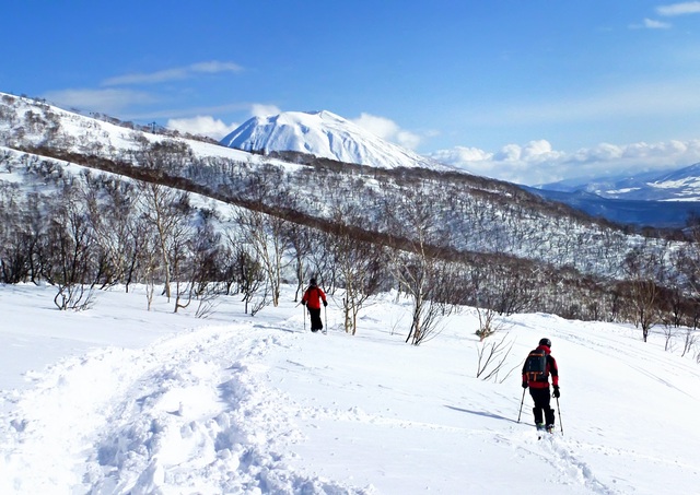 Sci fuori pista a Niseko