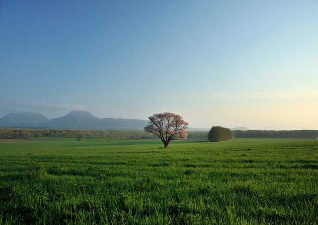 Pascolo a Passo Bihoro