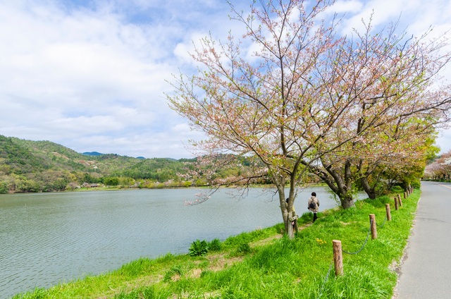 Stagno Hirosawa