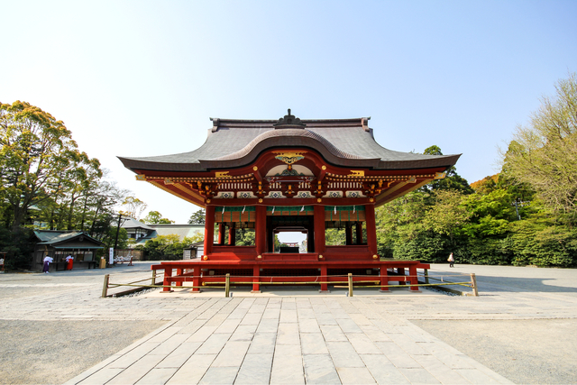 Santuario Tsurugaoka Hachimangu, Kamakura