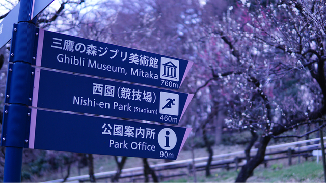 Tour al Museo Ghibli