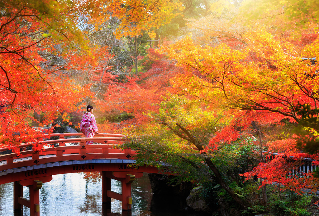Autunno in Giappone