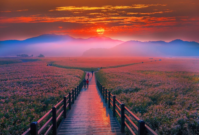 Baia di Suncheon, Yeosu