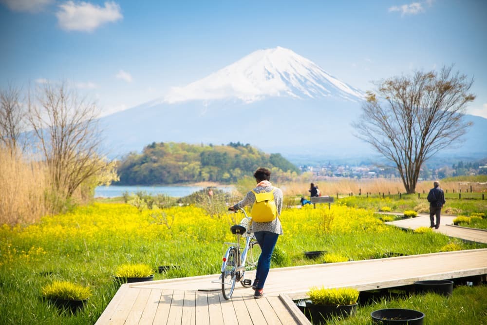 Il monte Fuji con la neve e il giardino fiorito lungo il ponte di legno del lago Kawaguchiko in Giappone