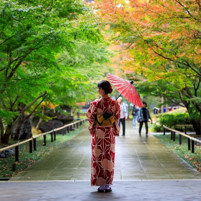 Donna giapponese in kimono rosso che tiene un ombrello e cammina tranquillamente in un parco pubblico con foglie autunnali in Giappone