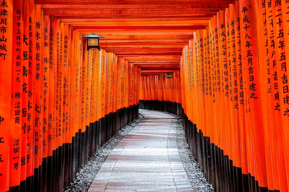 Santuario di Fushimi Inari a Kyoto, in Giappone, con migliaia di cancelli torii arancioni vermigli