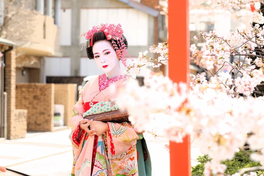 Maiko sulla strada del sakura con ombrello rosa