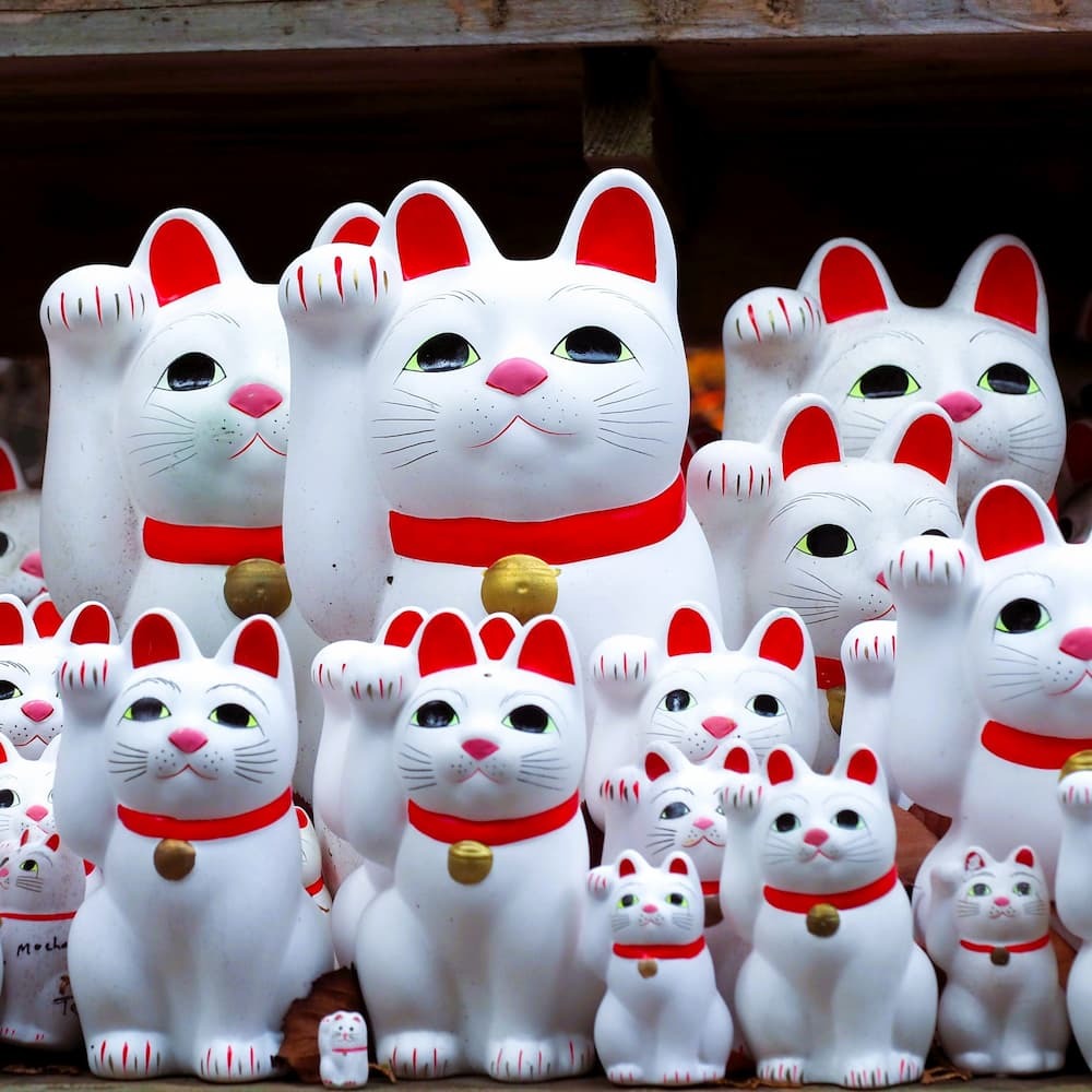 Gatti portafortuna Maneki-neko al Santuario Goutokuji, Tokyo, Giappone