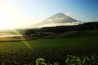 Monte Yotei in estate, Niseko.